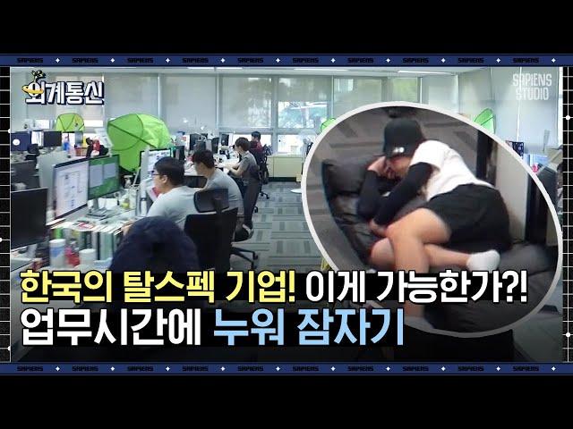 MZ세대 취향 저격한 스타트업의 비밀, 업무 시간에 화장, 게임, 취침까지? | #외계통신 #사피엔스