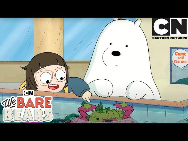 Ice Bears Big Day Out | We Bare Bears Mega Compilation | Cartoon Network | Cartoons for Kids