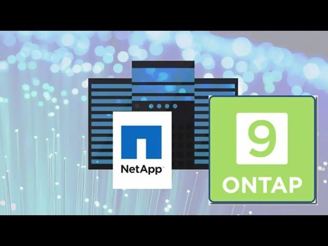 Netapp Ontap upgrade procedure