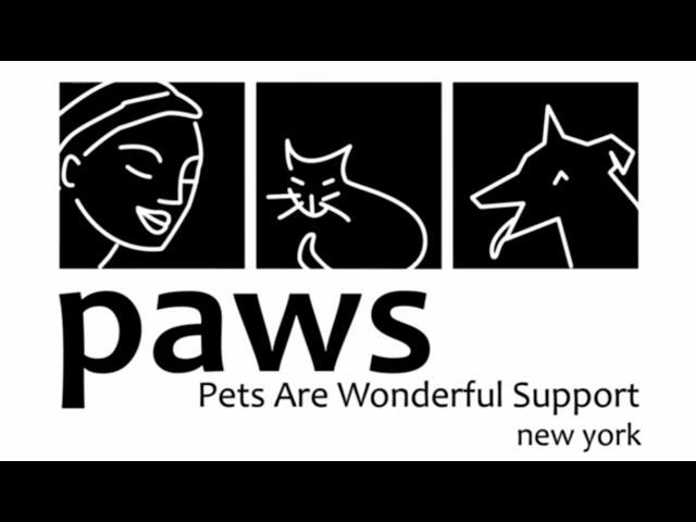 PAWS NY Promo Video (Updated June 2014)