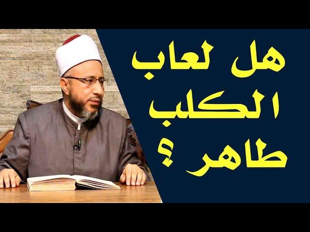 هل لعاب الكلب طاهر ؟ الأستاذ الدكتور محمد سيد سلطان