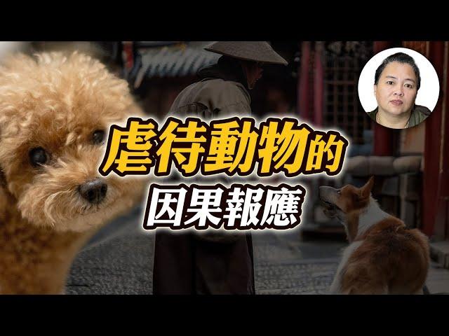 虐待動物的因果報應！善惡業力循環，累世果報真實故事！