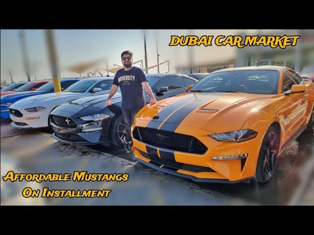 Affordable Mustangs On Installment In Dubai