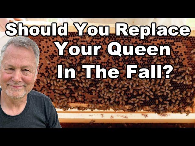 Beekeeping Inspection & How To Deal With A Failing Queen