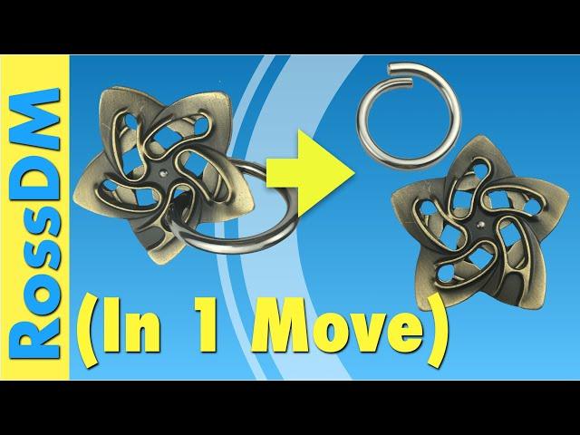 HELIX PUZZLE SOLUTION