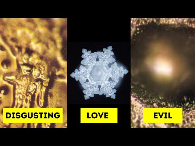 Water Has Memory! Dr. Masaru Emoto's Water Experiment!