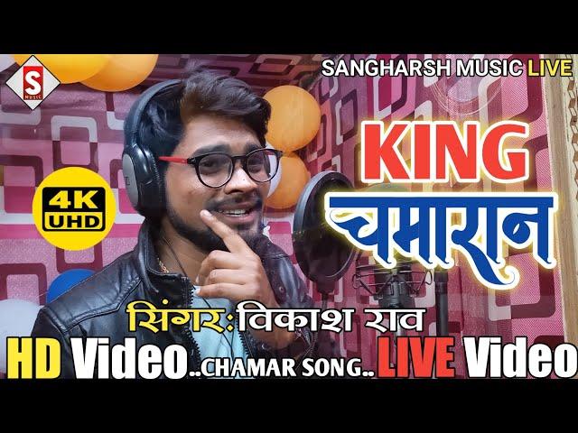 #King_Chamaran | किंग चमारान | #vikash_rao Chamar Song #Live Video @sangharshmusichit