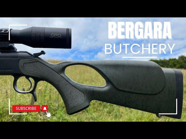 Butchering the Bergara BA13