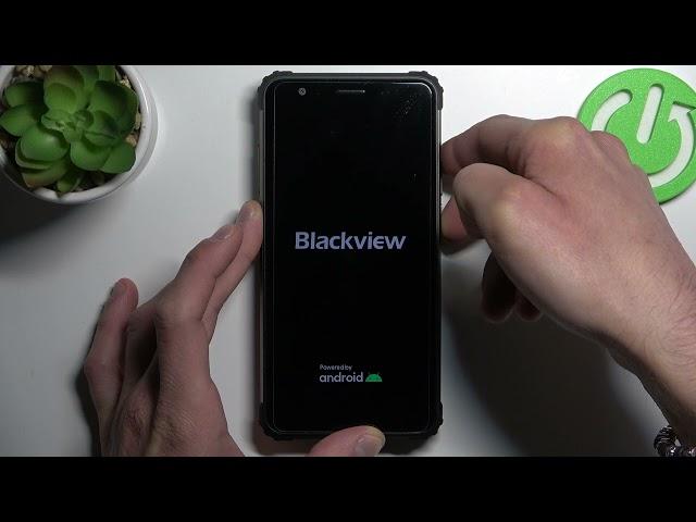 Cómo formatear desde Recovery tu BLACKVIEW BV6600E - HARD RESET