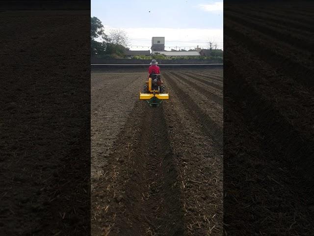 迷你乘坐式曳引機 溫室，網室，培溝，好幫手~中耕讓務農也能輕鬆點做事~詢問或試車賞車請加賴 http://line.me/ti/p/%40vul1166p  歡迎光臨、小型農機、此車特殊的專利設計