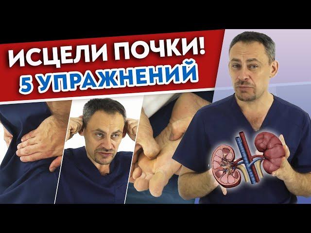 Эффективный комплекс упражнений для почек | Диагностика заболеваний почек