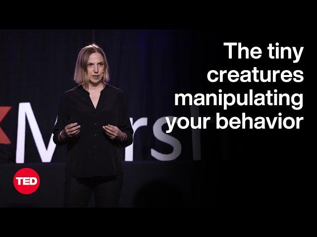 Do Gut Microbes Control Your Personality? | Kathleen McAuliffe | TED