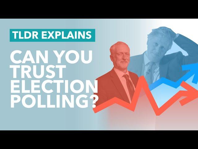 Can You Trust Election Polling Data? - TLDR News