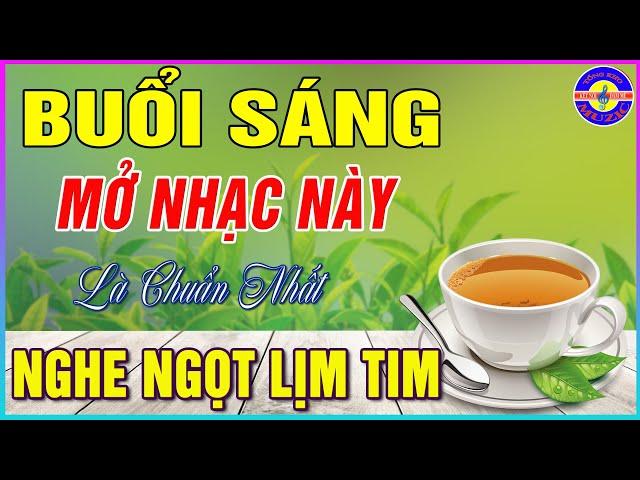 Buổi Sáng Mở Nhạc Này Quên Cả Trời Đất | Nhạc Cafe Buổi Sáng | Nhạc Hòa Tấu Phòng Trà Hay Nức Lòng