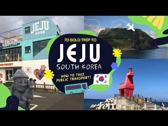 [KoreaTravelGuide] 7D Solo Trip to Jeju Island: Explore Jeju by Public Buses . What is T-Money Card?