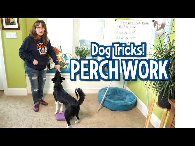 Susan Garrett’s Perch Work Dog Tricks (Pivots and Spins)