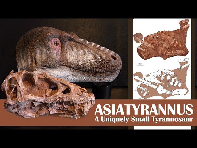 Asiatyrannus- A Uniquely Small Tyrannosaur