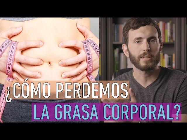 Como se QUEMA LA GRASA CORPORAL?