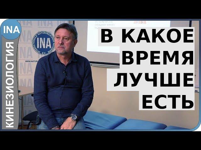 В какое время лучше есть. Обучение прикладной кинезиологии в Германии