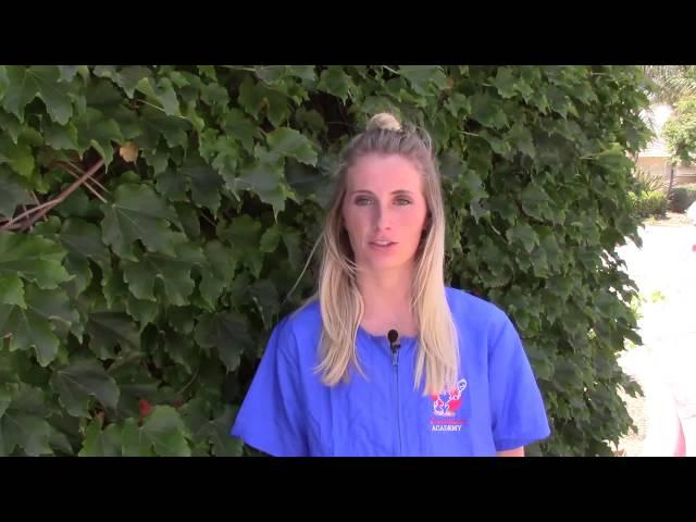 Pet Grooming School in Temecula | Brittany Graduate Testimonial 2015