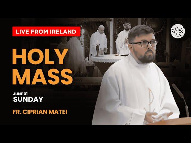 Catholic Mass Today | 01 June 2025 | SS. Peter & Paul's Church I Live from Ireland