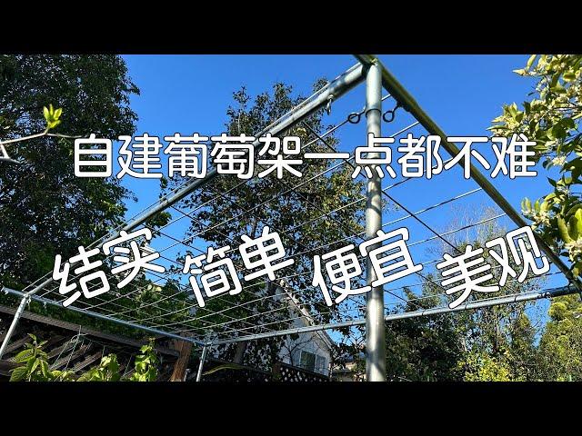 【DIY】搭个结实简单美观便宜的葡萄架｜自建EMT钢管葡萄架比你以为的容易多了