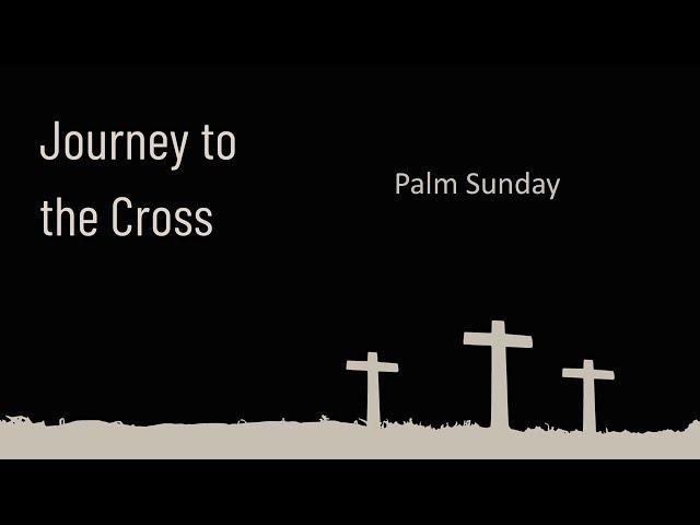 Journey to the Cross: Palm Sunday