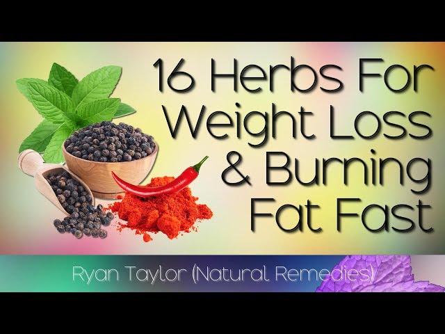 Best Herbs: for Weight Loss (Fast)