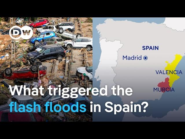 Flash floods in Spain: Muddy torrents sweeping away cars as huge storms hit | DW News