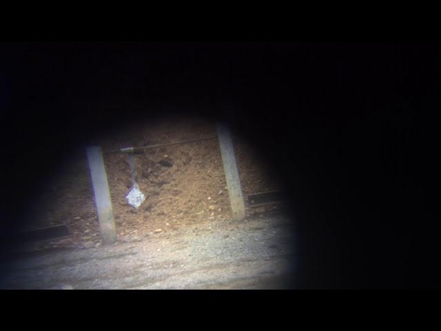 6 Dasher coyote gun