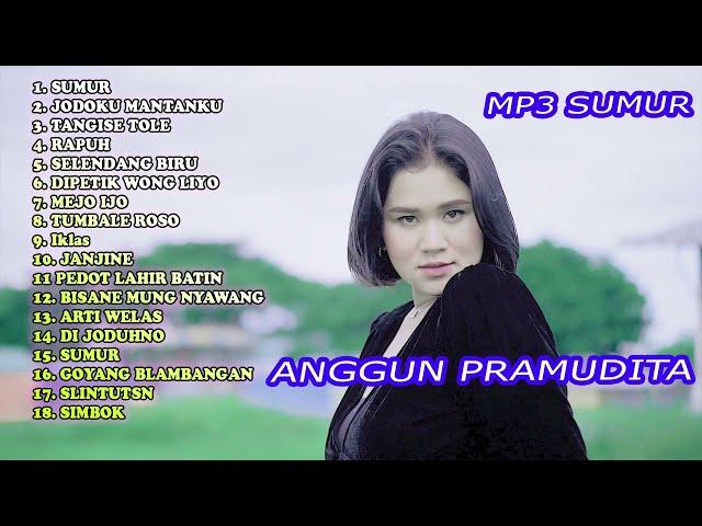 MP3 Anggun Pramudita Lagu Sumur Banyuwangi