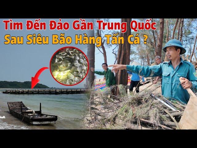 Thực Hư Nhiều Cá Trung Quốc Siêu Bão Đưa Vào Đảo Việt Nam