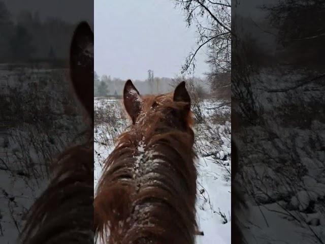 Hunter from Siberia. Охотник из Сибири.