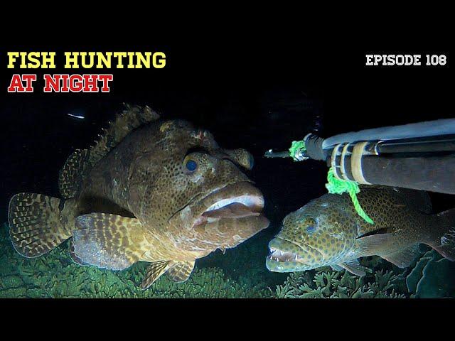 NIGHT SPEARFISHING EPISODE 108 | FISH HUNTING AT NIGHT