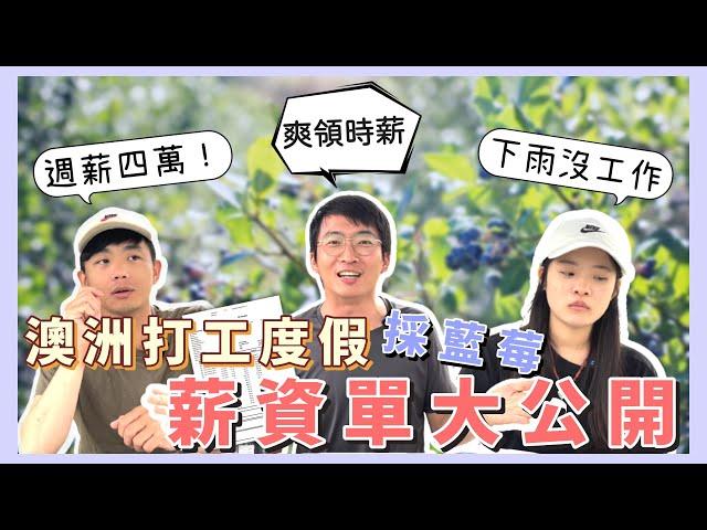 澳洲打工薪資單公開！一週可以破十萬？【小馬說】訪談ＱＡ｜澳洲採藍莓｜薪資收入｜打工度假 2023