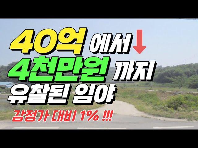 40억에서 4천만원 까지 유찰된 임야 (감정가대비 1%대)