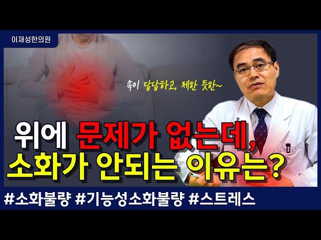 속이 답답하고, 소화가 잘 안되는 '소화불량'의 원인과 해결법(feat. 위염과 기능성 소화불량의 차이)