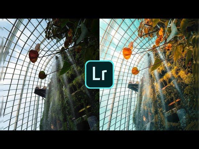 How To Edit Like Yantastic - Lightroom Mobile Tutorial (Free Preset)