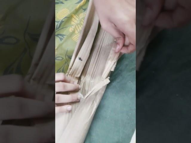 unboxing  bay leaf plant from amazon