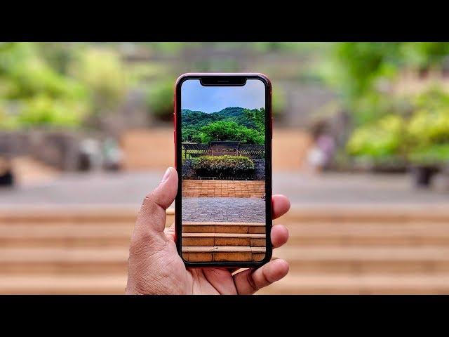 iPhone XR Detailed Camera Review