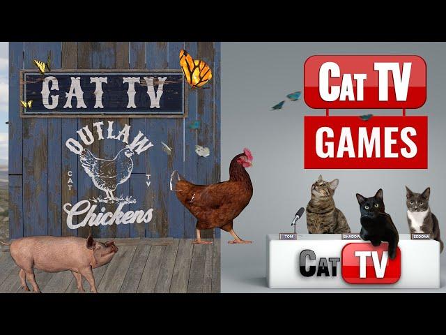 CAT TV |  OUTLAW CHICKENS | Cat Games 4K | Videos For Cats | Rats, Bugs and Butterflies | 3 Hours