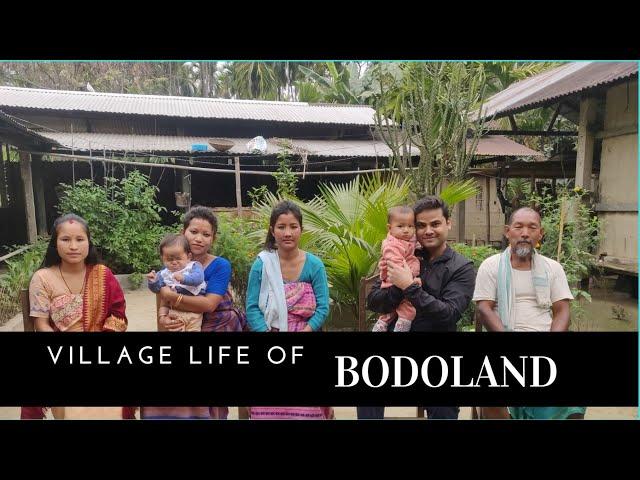 Amazing village life of Bodoland || Bodo traditional foods and beliefs