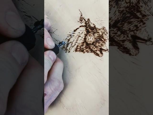 working the fur #pyrographyart #pyrography