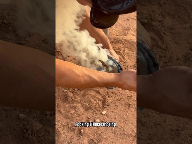 Burning on horseshoe #horsehoof #asmr #shortsviral #satisfying