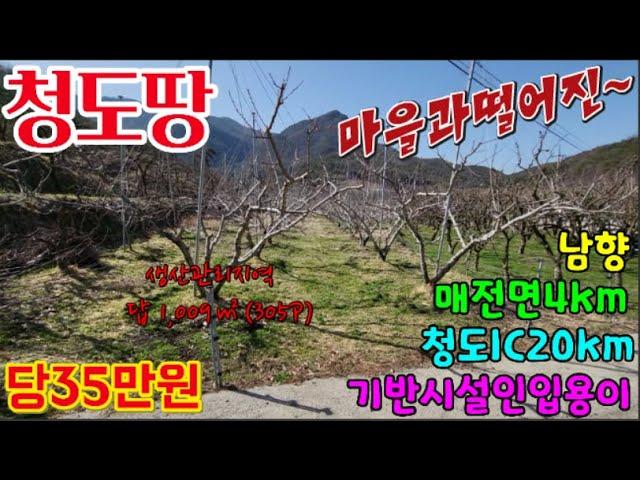 청도땅매매404 매전면 생산관리지역 답 1,009㎡(305P) 당35만원 남향 복숭아밭 기반시설인입용이 #청도부동산 청도전원주택지 청도주말농장매매 매전면4km, 청도IC20km