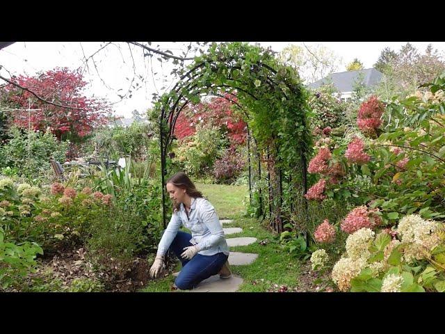 How to Plant Hyacinth Bulbs // Northlawn Flower Farm