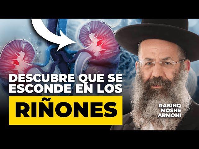 “Dios escudriña los riñones” Secretos de su SANIDAD que nos esconden