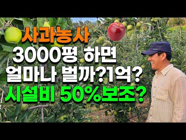 억대연봉? 사과농사 3000평 수익은? 장단점 시설비용, 보조50%?