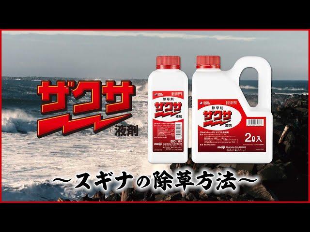 ザクサ侍　壱番勝負　～スギナ編～