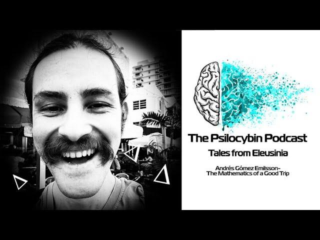 Andrés Gómez Emilsson- The Mathematics of a Good Trip